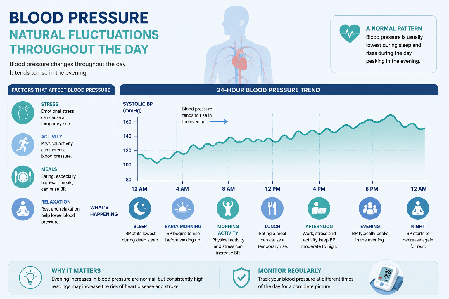 Infographic explaining why blood pressure is higher in the evening with daily fluctuation graph and contributing factors.